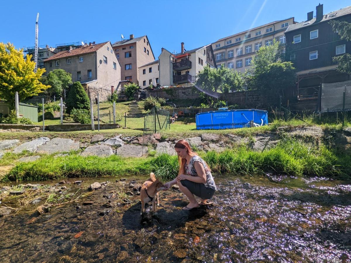 Famzi - Urlaubsmagie - Familienwohnung Mit Gemeinschaftsgarten, -Sauna & -Pool Sebnitz Exteriör bild