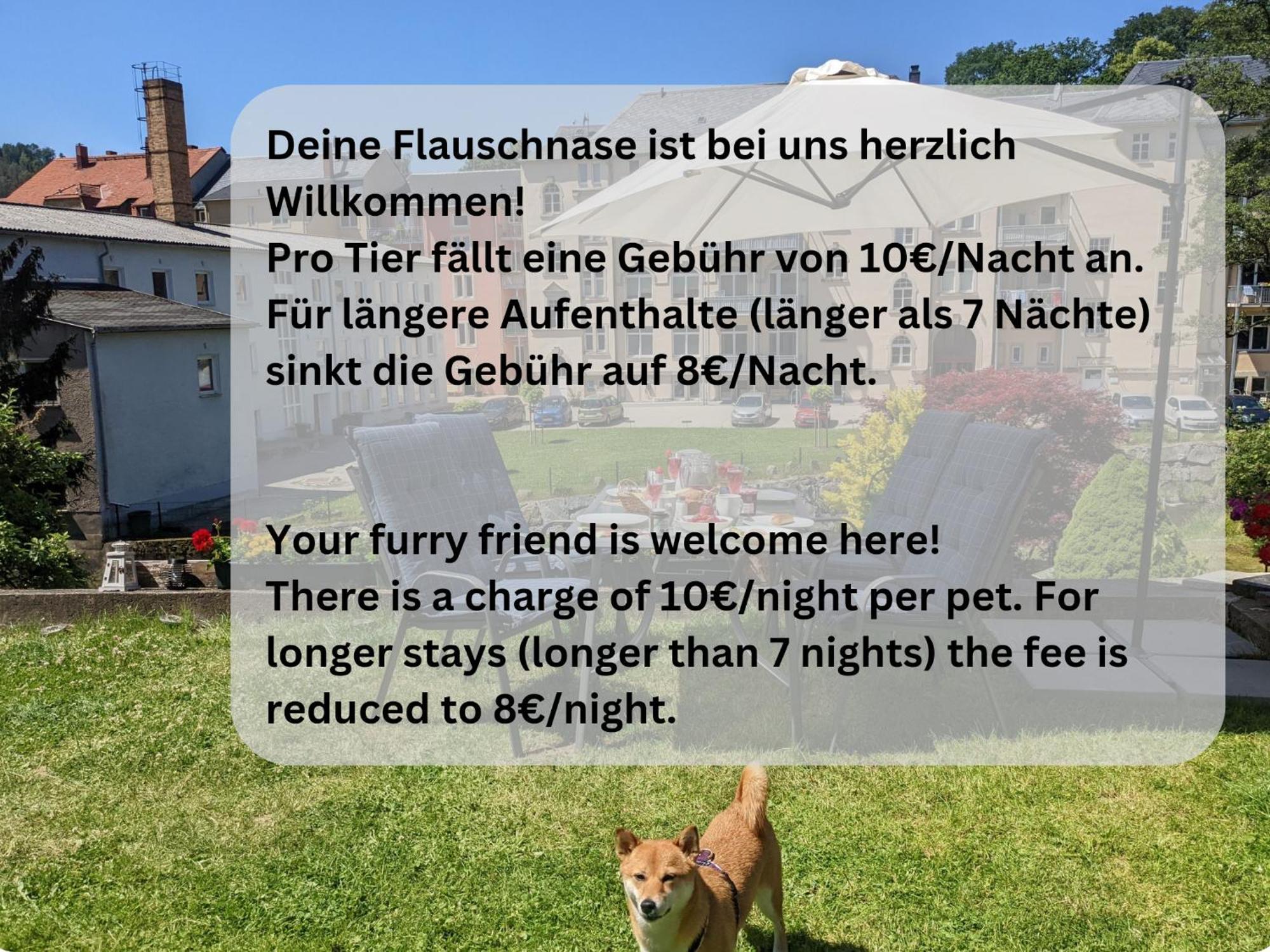 Famzi - Urlaubsmagie - Familienwohnung Mit Gemeinschaftsgarten, -Sauna & -Pool Sebnitz Exteriör bild