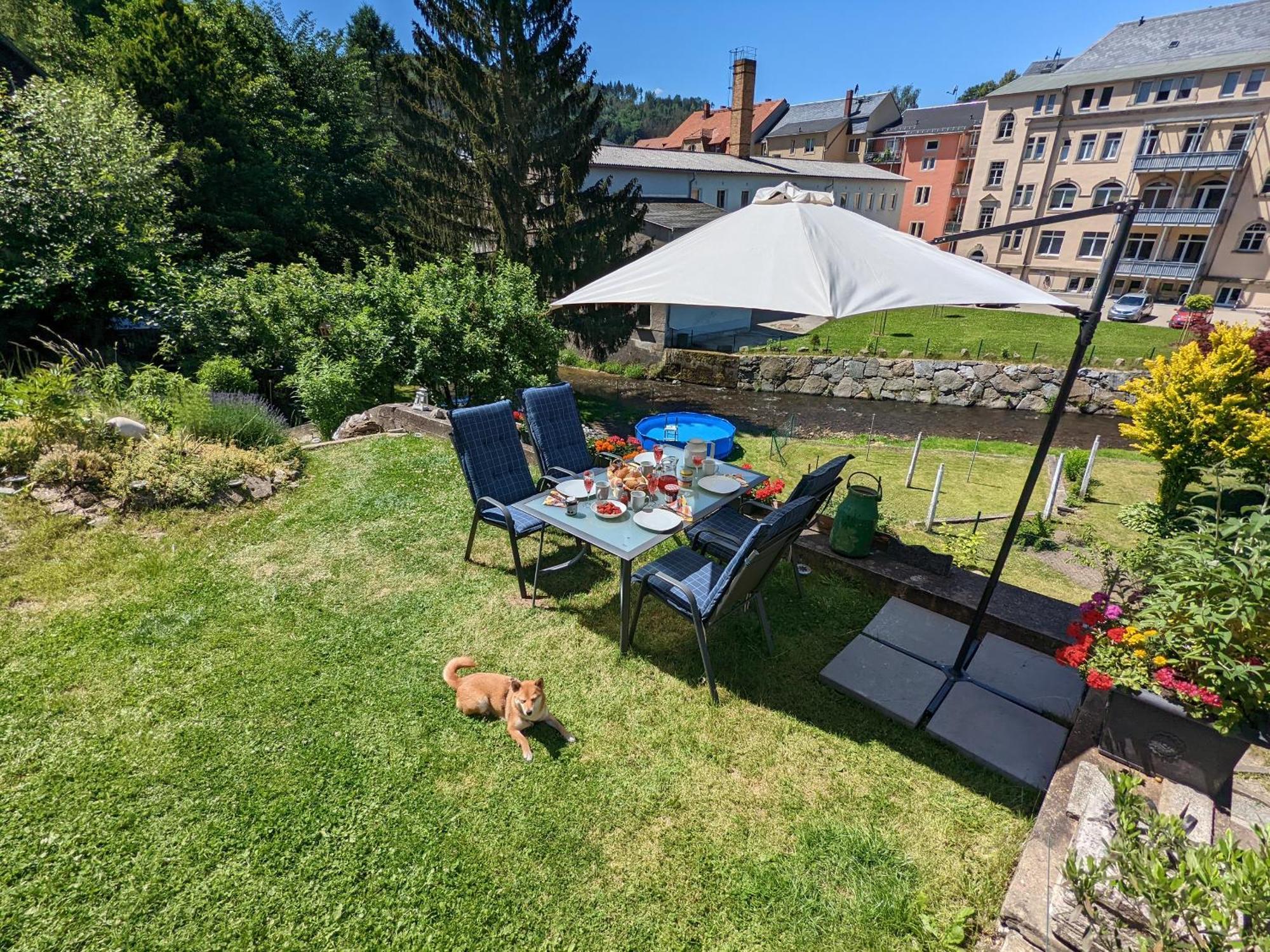 Famzi - Urlaubsmagie - Familienwohnung Mit Gemeinschaftsgarten, -Sauna & -Pool Sebnitz Exteriör bild