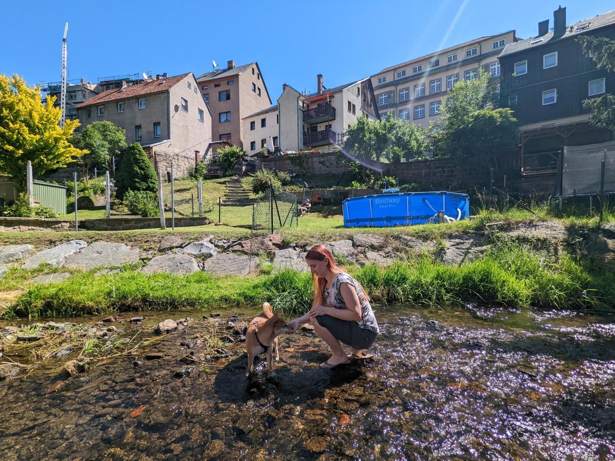 Famzi - Urlaubsmagie - Familienwohnung Mit Gemeinschaftsgarten, -Sauna & -Pool Sebnitz Exteriör bild