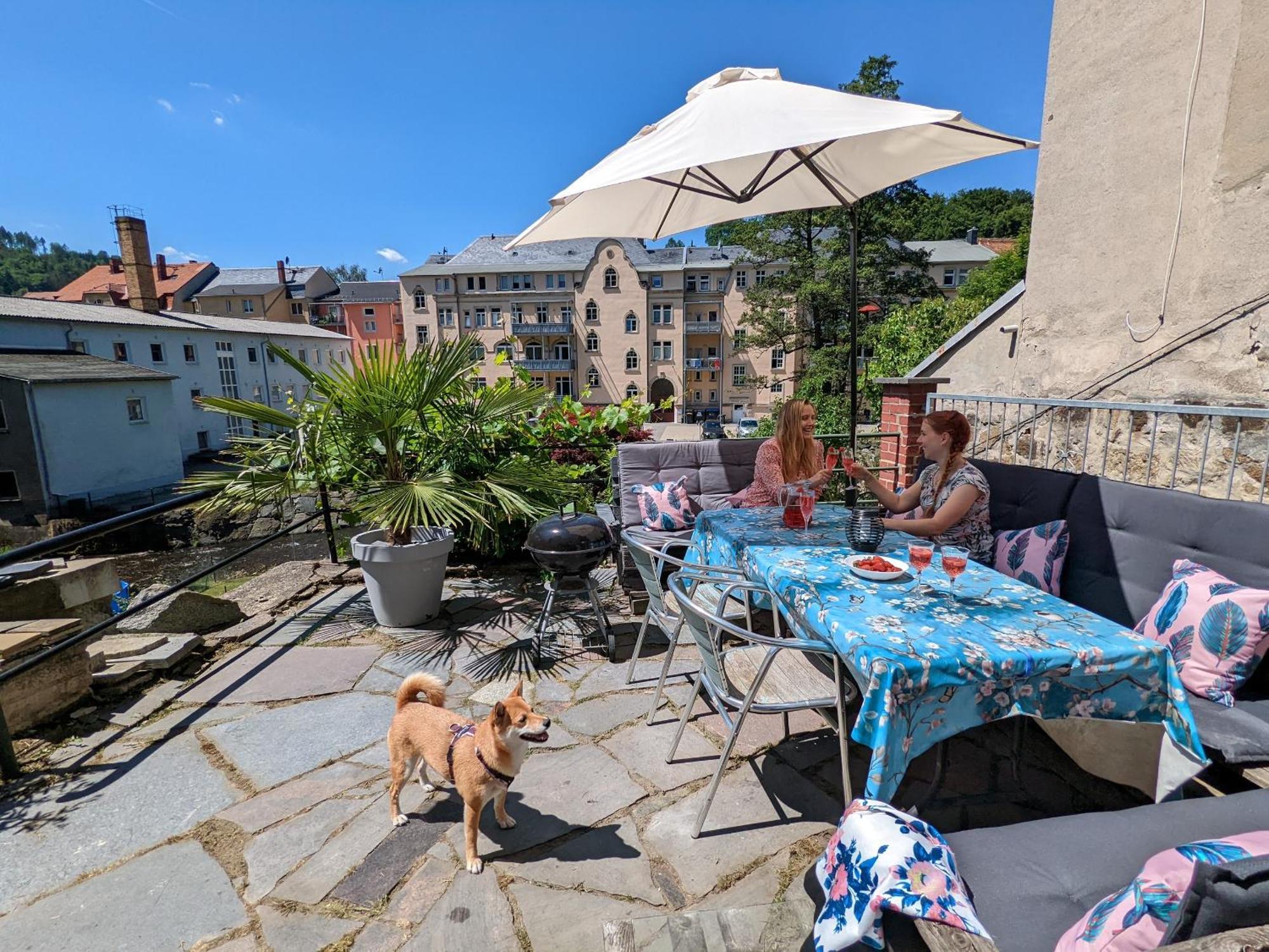 Famzi - Urlaubsmagie - Familienwohnung Mit Gemeinschaftsgarten, -Sauna & -Pool Sebnitz Exteriör bild