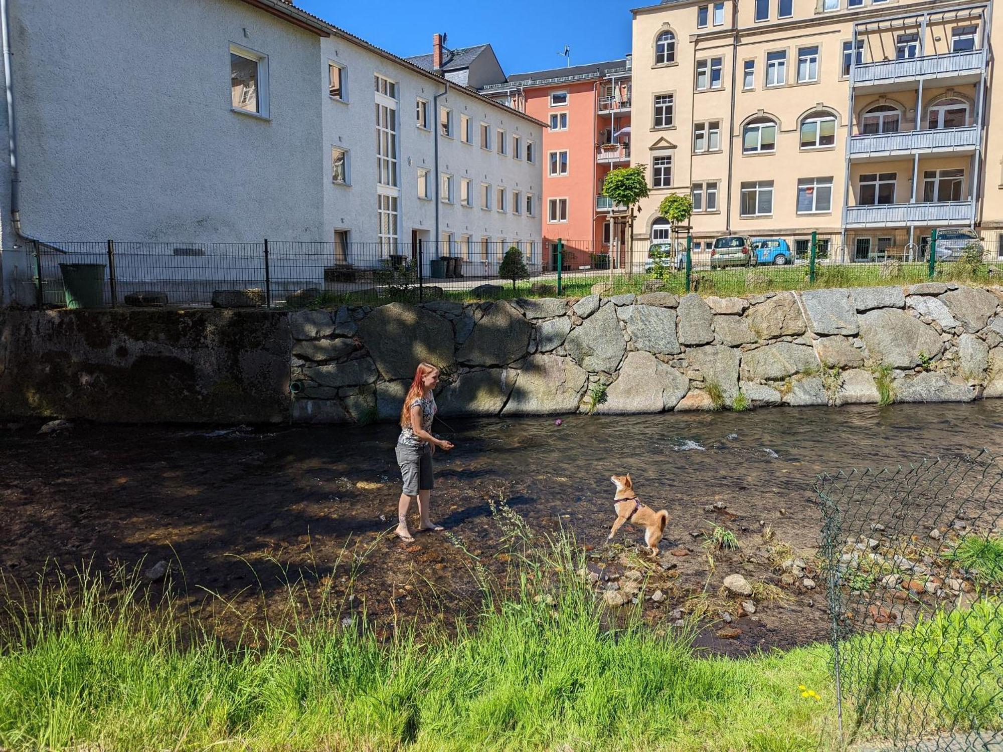 Famzi - Urlaubsmagie - Familienwohnung Mit Gemeinschaftsgarten, -Sauna & -Pool Sebnitz Exteriör bild
